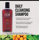 American Crew Daily Cleansing Shampoo