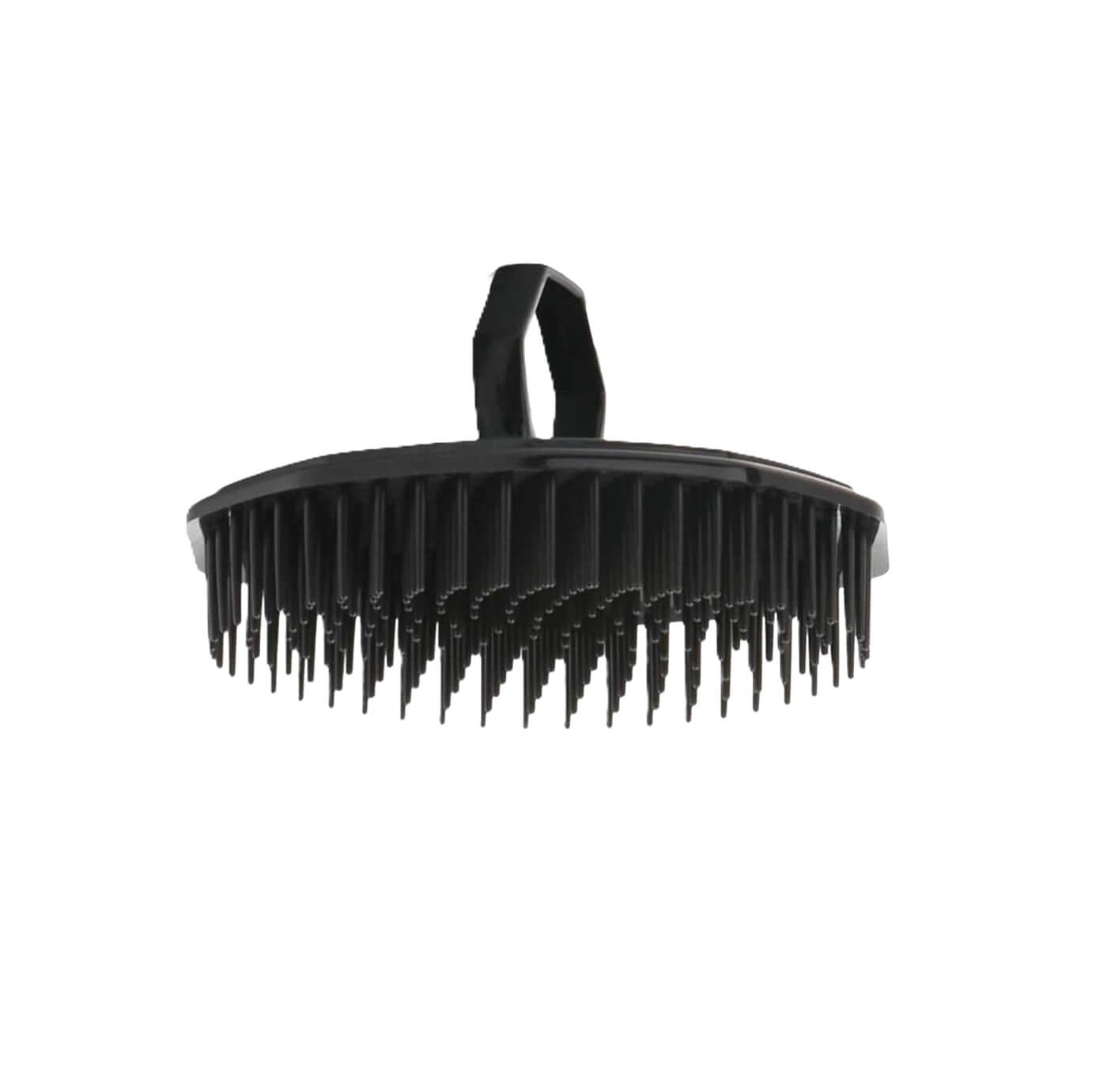 Massage Hair & Scalp Brush for Healthy Hair - 3pcs