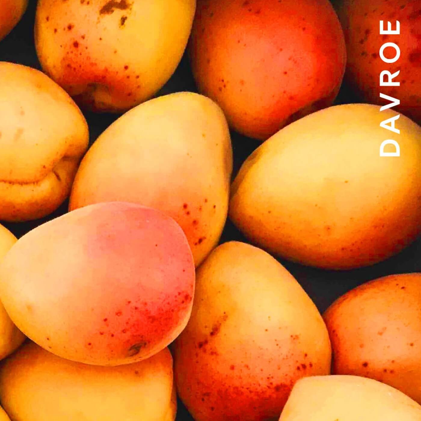 Davroe Luxe Leave-In Masque