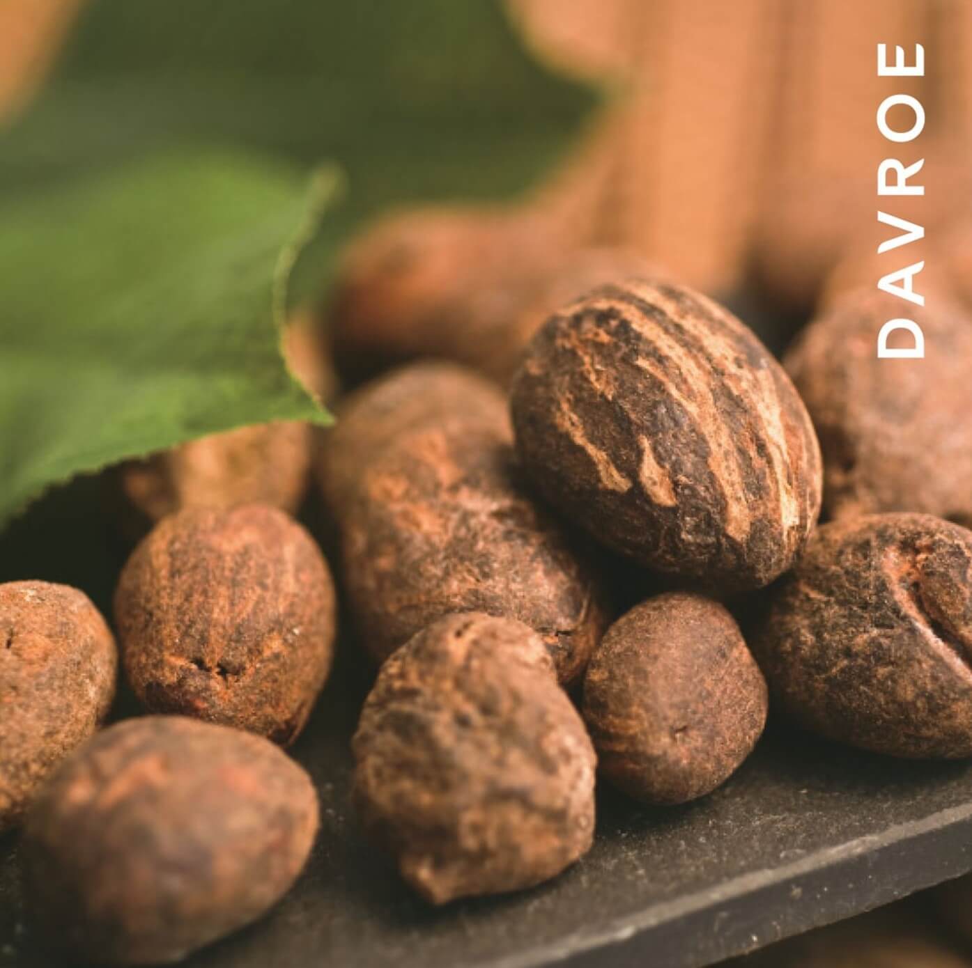 Davroe Luxe Leave-In Masque