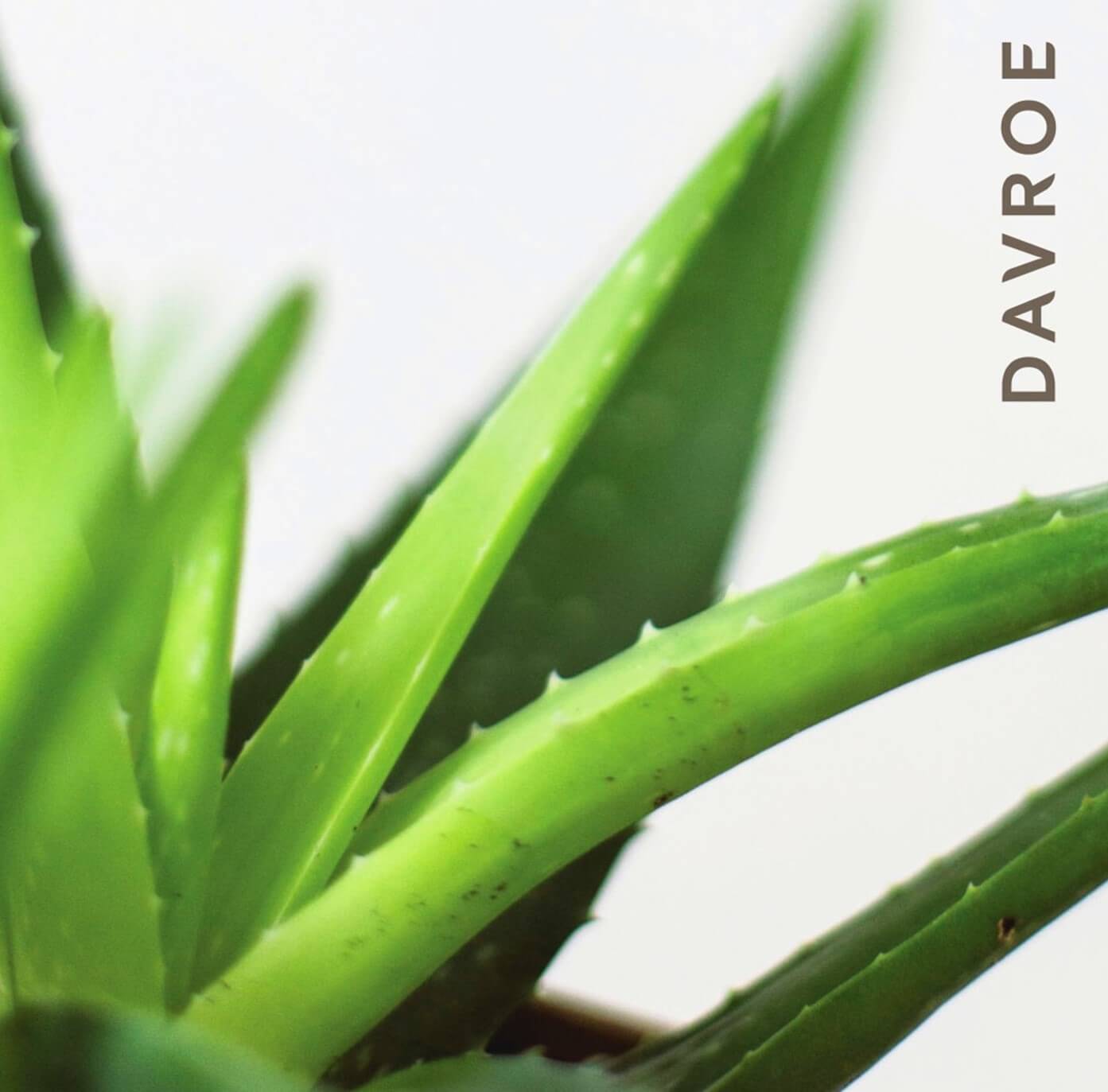 Davroe Luxe Leave-In Masque