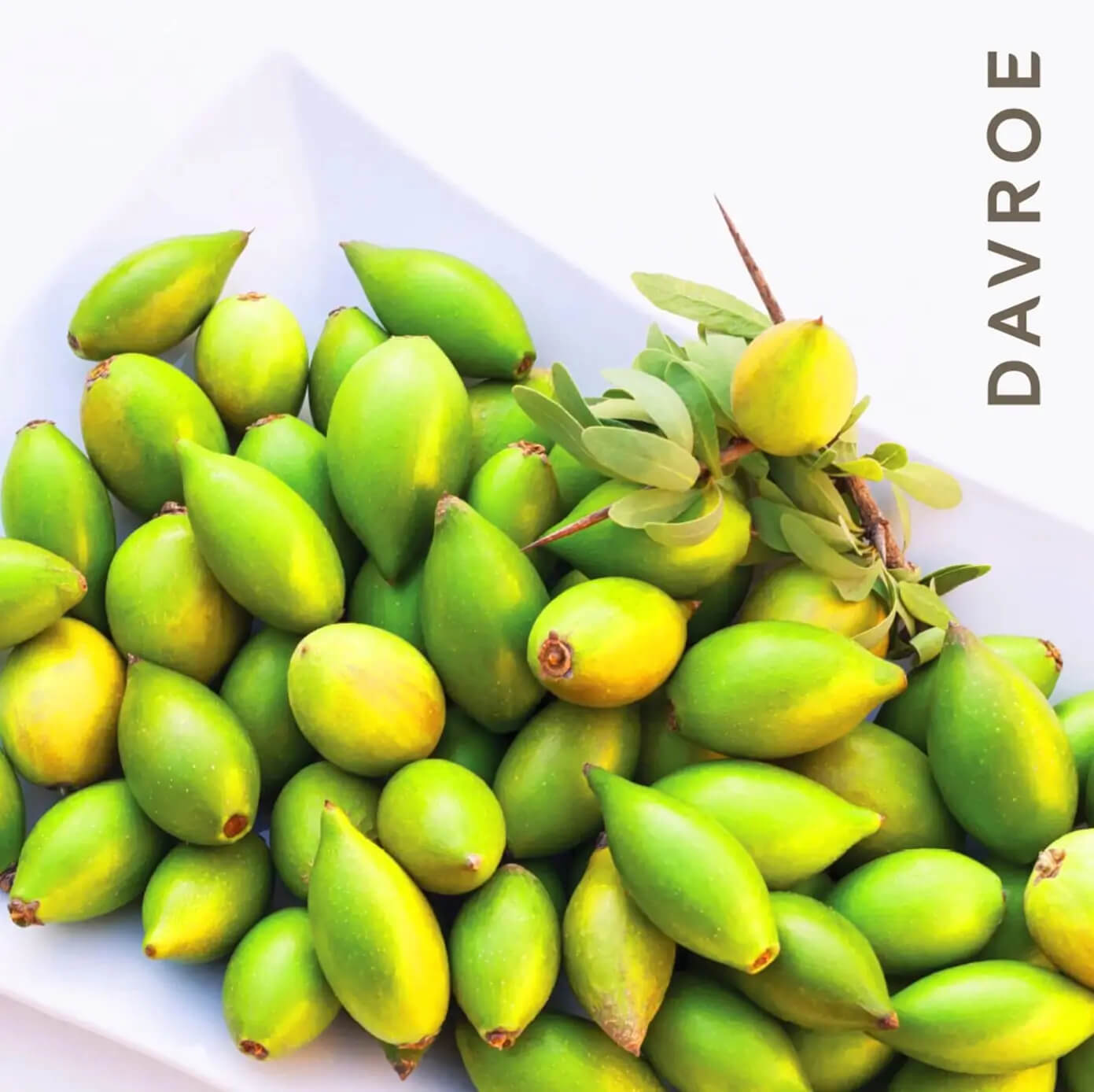 Davroe Argan Oil Instant Treatment