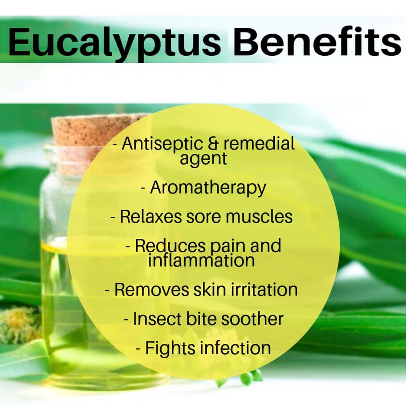 PRORASO Aftershave Balm – Refreshing 