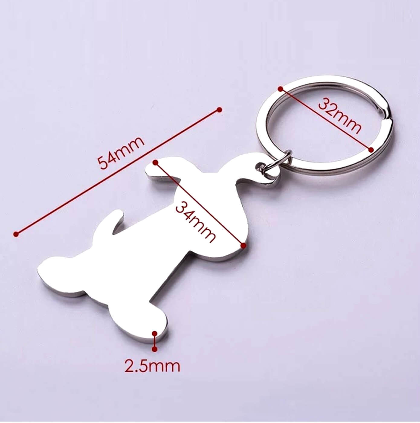 Smiling Puppy Dog Keyring Holder