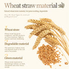 Eco Smooth Ladies Detangling Hair Care Set