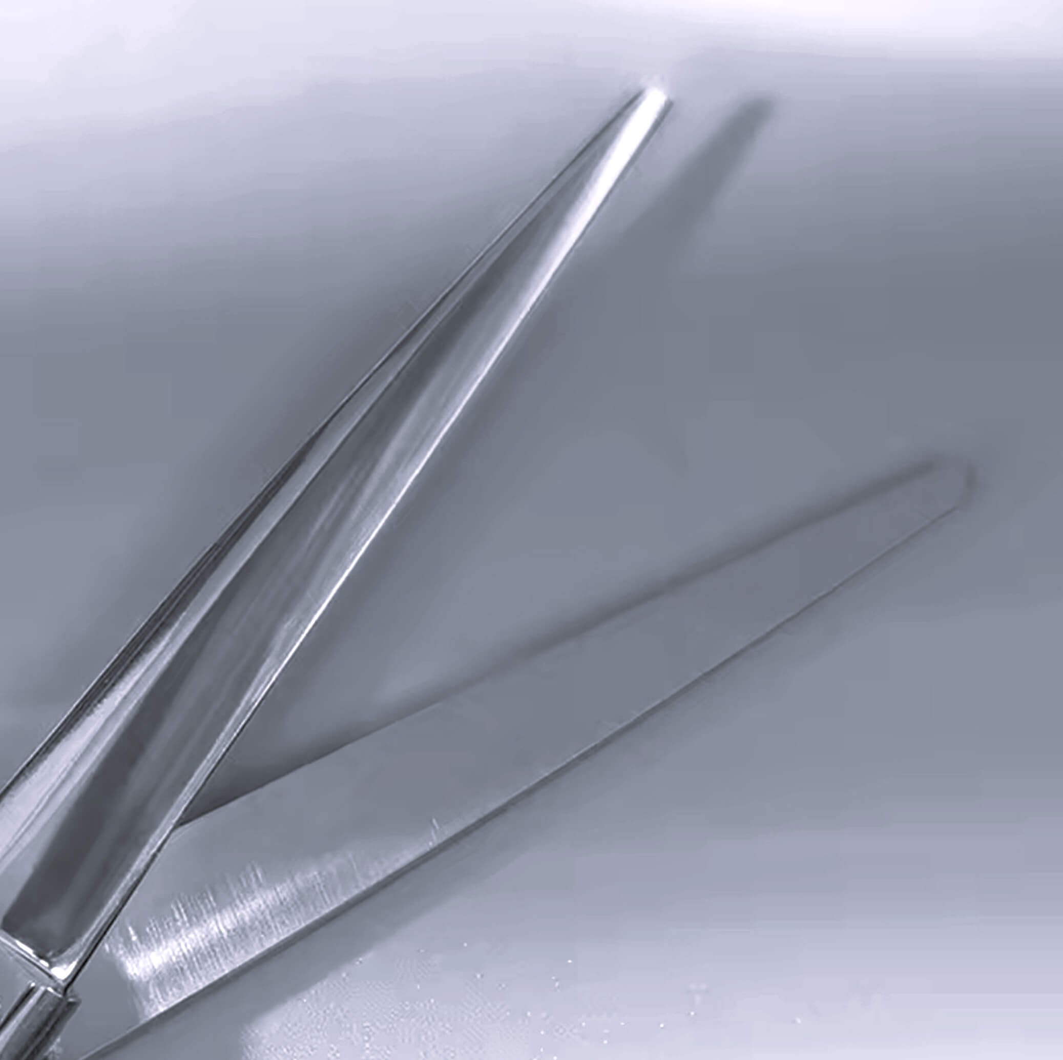 Titan Precision 5.5-inch Crafted Japanese Steel Hair Scissors